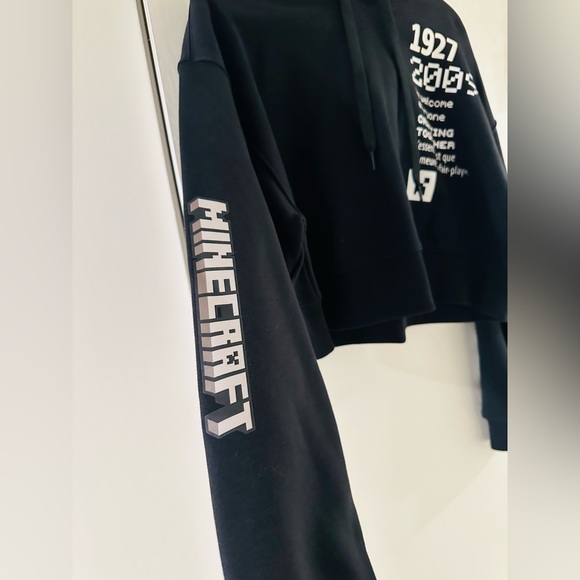 Lacoste
Minecraft logo-print detail hoodie - Picture 4 of 7